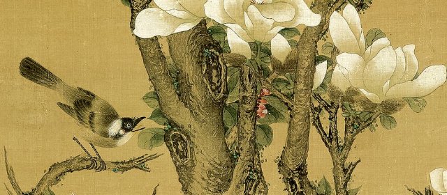 胡湄头像