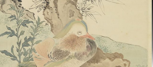 王云头像
