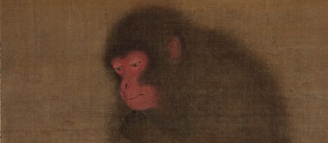 毛松头像
