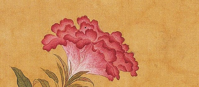 马荃头像