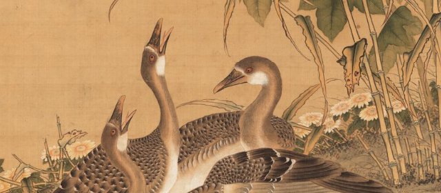 丘鉴头像