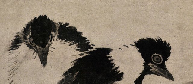 林良头像