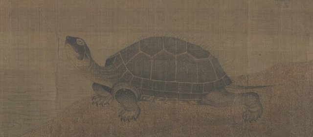 张珪头像