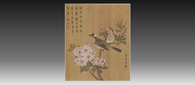 王晓头像