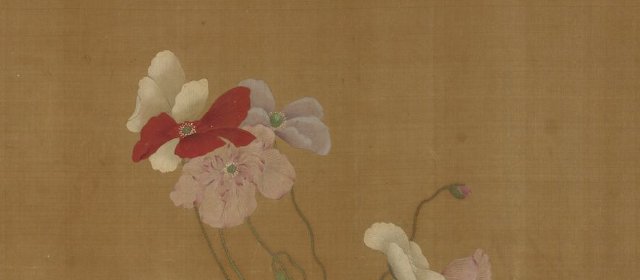 王渊头像