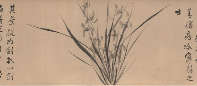陈元素头像