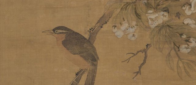 蓝涛头像