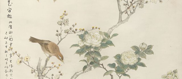 陆抑非头像