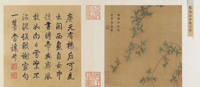 杨妹子头像