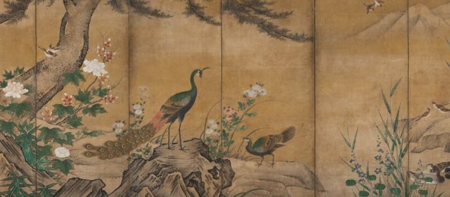 狩野松荣头像