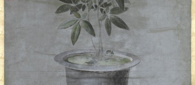 班达里沙头像