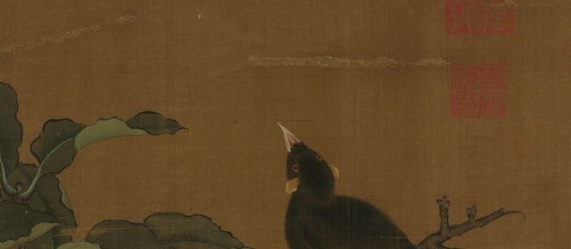 边鸾头像