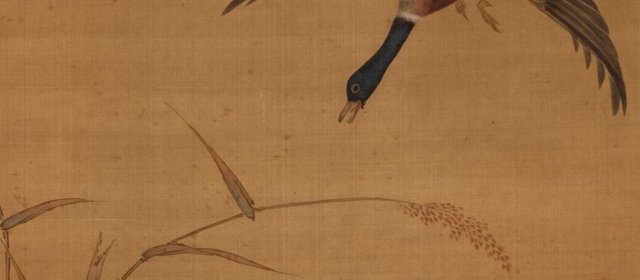 童衡头像