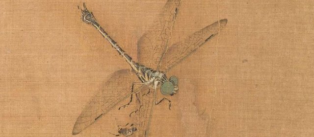谢楚芳头像