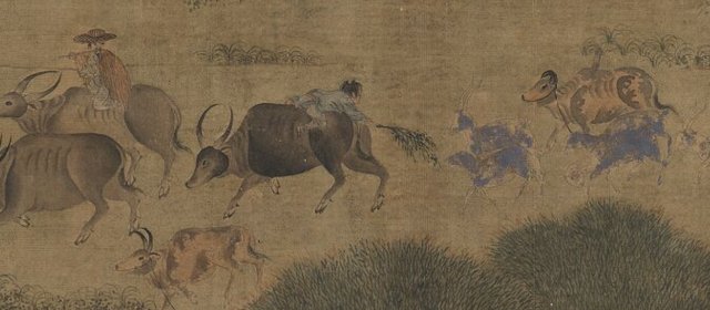 马逵头像
